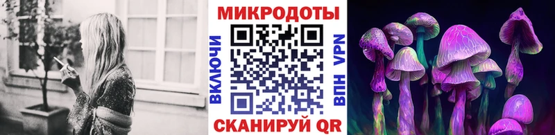Галлюциногенные грибы Psilocybe купить сайты Губкин